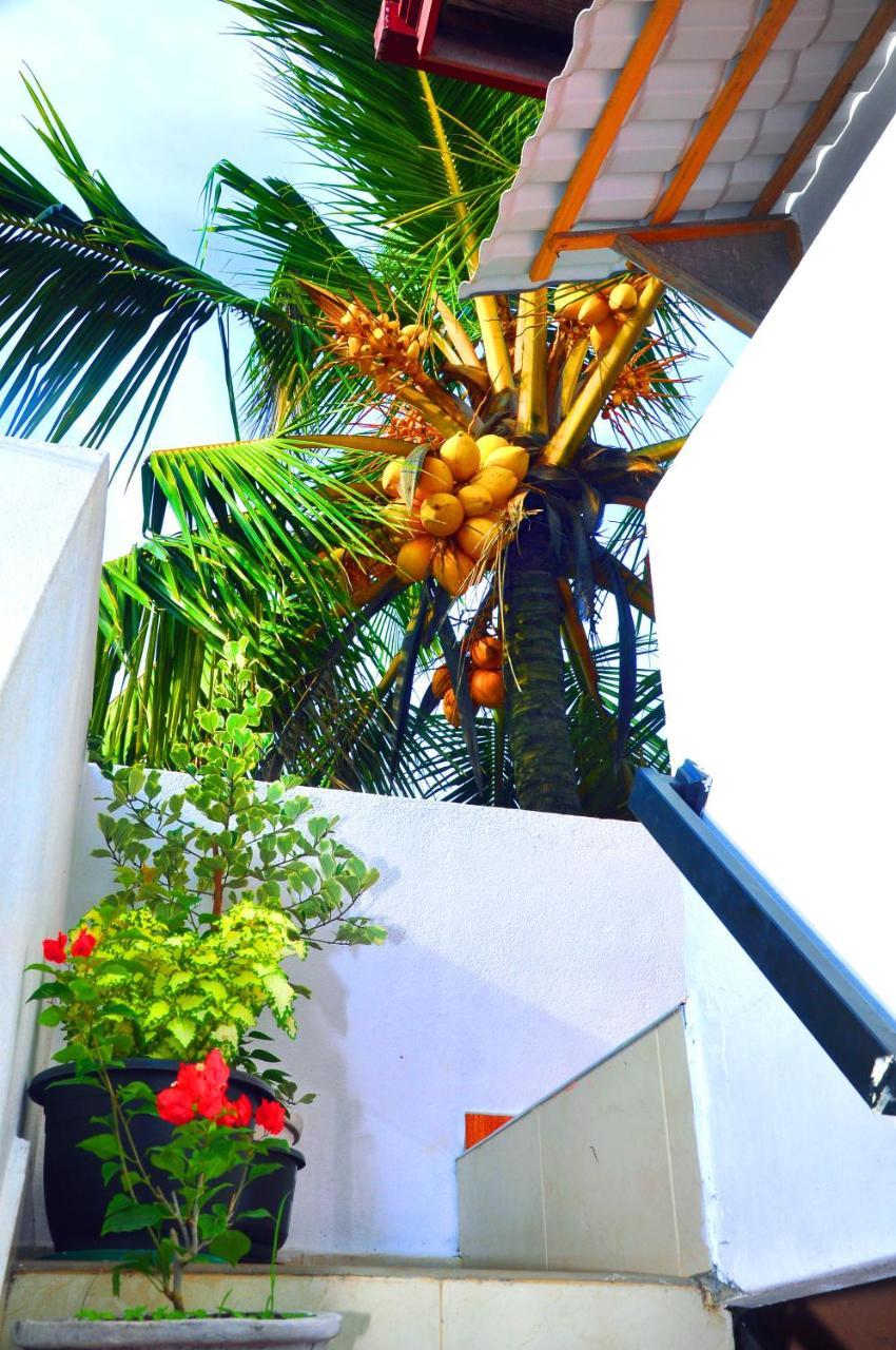 Senero House Hotel Bentota Exterior foto